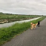 Le Clos Des Lys, Maison De Pays Raffinée Proche De La Mer, Linge Inclus Casa vacanze *