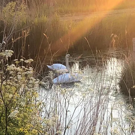 Le Clos Des Lys, Maison De Pays Raffinée Proche De La Mer, Linge Inclus Saint-Georges-d'Oleron