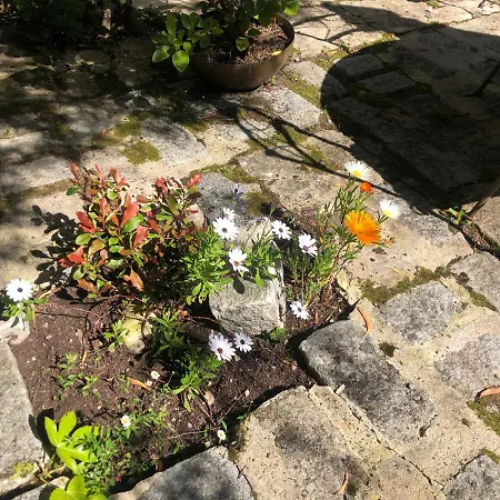 Le Clos Des Lys, Maison De Pays Raffinée Proche De La Mer, Linge Inclus Hébergement de vacances