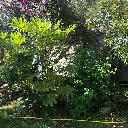 Hébergement de vacances Le Clos Des Lys, Maison De Pays Raffinée Proche De La Mer, Linge Inclus Saint-Georges-d'Oleron