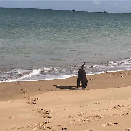Le Clos Des Lys, Maison De Pays Raffinée Proche De La Mer, Linge Inclus Saint-Georges-d'Oleron