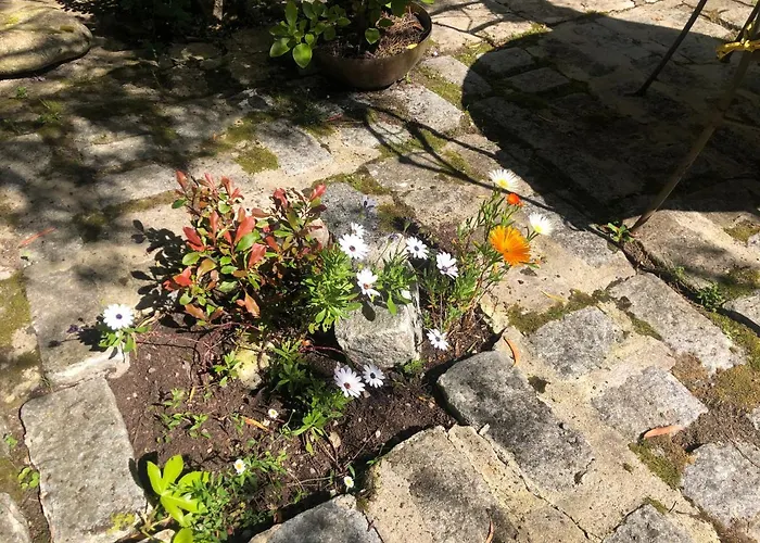 Le Clos Des Lys, Maison De Pays Raffinee Proche De La Mer, Linge Inclus Nyaraló
