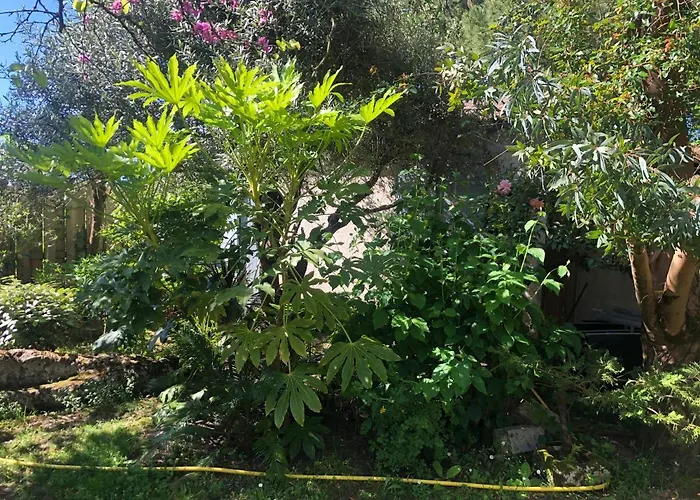 Nyaraló Le Clos Des Lys, Maison De Pays Raffinee Proche De La Mer, Linge Inclus Saint-Georges-d'Oléron