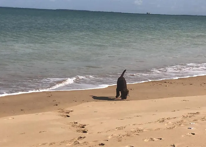Le Clos Des Lys, Maison De Pays Raffinee Proche De La Mer, Linge Inclus Saint-Georges-d'Oléron